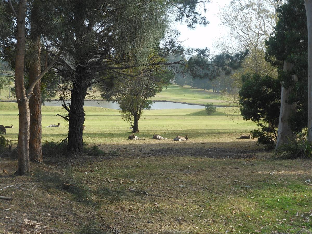 Golf View Motel แซงค์ชัวรีพอยท์ ภายนอก รูปภาพ